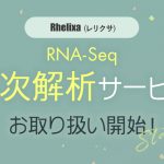 Rhelixa RNA-Seq 高次解析サービス