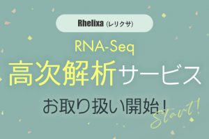 Rhelixa RNA-Seq 高次解析サービス