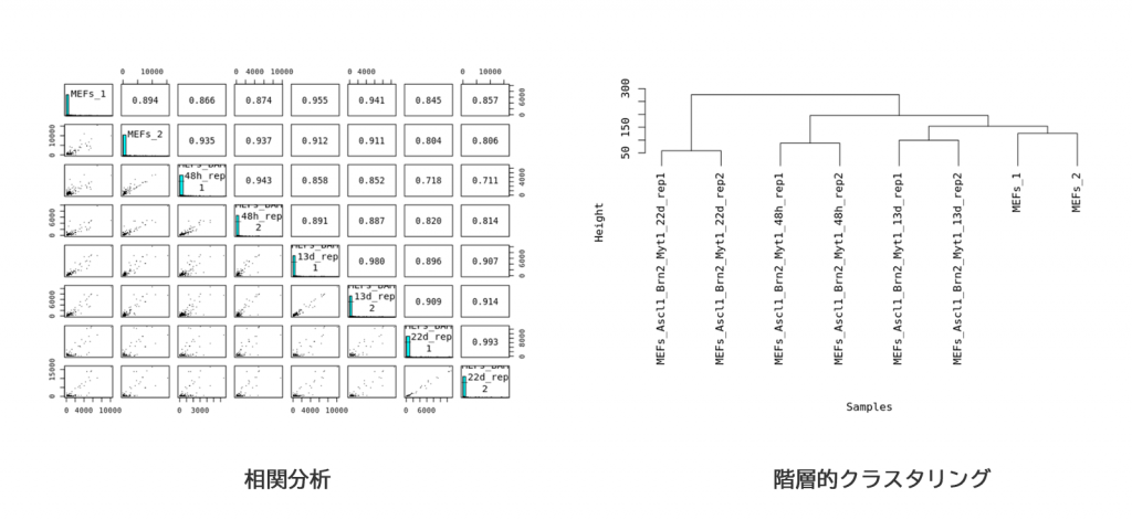 データ解析例01