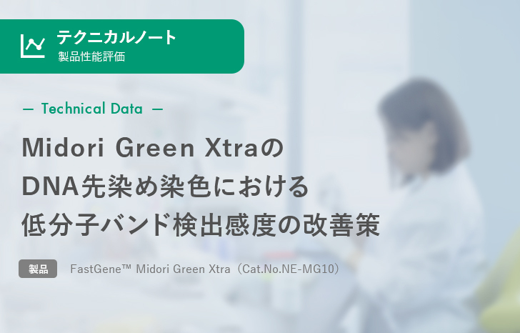 【製品性能評価】Midori Green XtraのDNA先染め染色における低分子バンド検出感度の改善策