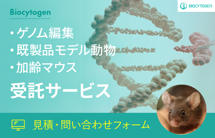 【見積・お問い合わせフォーム】Biocytogen ゲノム編集・既製品モデル動物・加齢マウス 受託サービス