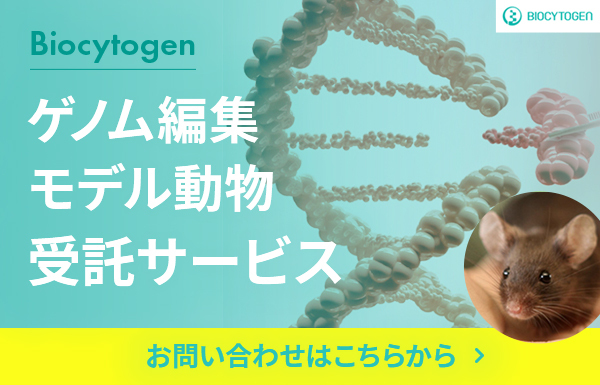 Biocytogenゲノム編集・既製品モデル動物・加齢マウス受託サービス