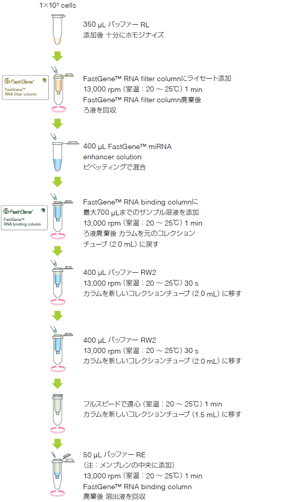 miRNAを含むTotal RNA抽出（DNase I 処理なし）