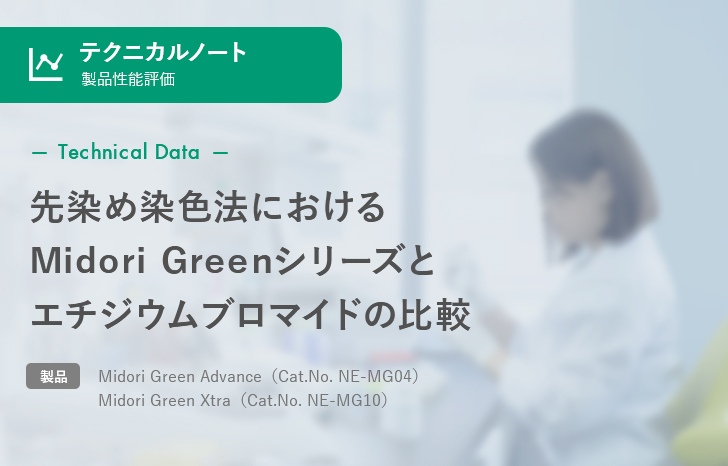 【製品性能評価】先染め染色法におけるMidori Greenシリーズと エチジウムブロマイドの比較