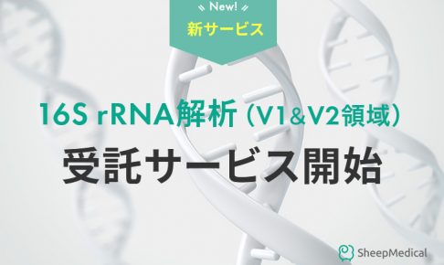 16s rRNA解析受託サービス