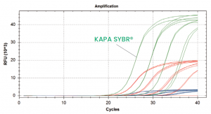 CFX_KAPA SYBRと他社試薬での増幅曲線の比較