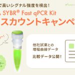 試薬キット　KAPA SYBR FG RNA Basic Kit