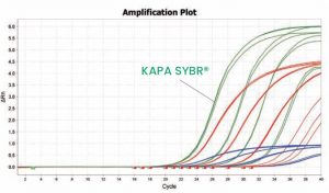 QuantStudio_KAPA SYBR他社試薬比較