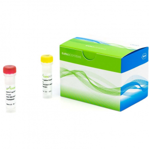 KAPA EvoPlus V2 Kit（PCR-free）