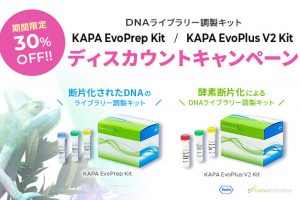 DNAライブラリー調整キットCP　アイキャッチ