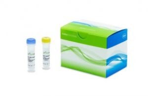 10153806001(KAPA EvoPrep Kit PCR-free)