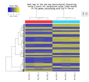 RNA-Seq_Heatmap Analysis