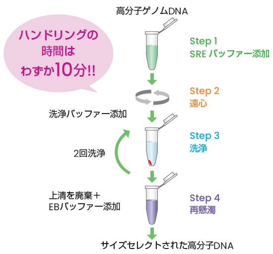 Short Read Eliminator Kit 特長2