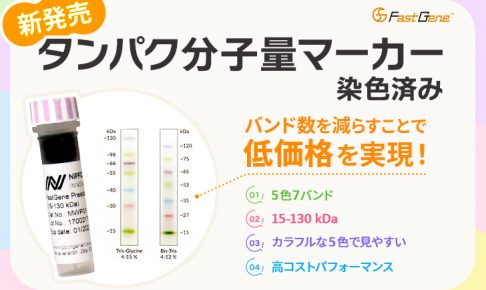 タンパク分子量マーカー染色済み新発売