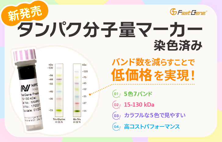 タンパク分子量マーカー染色済み新発売