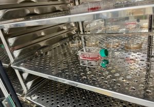 愛知学院大学_生化学講座_インキュベーター