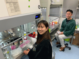 塩飽研究室_クリーンベンチの様子