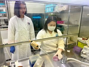 日本医科大学_クリーンベンチ