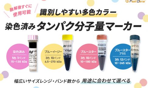 染色済みタンパク分子量マーカー_アイキャッチ