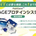 FastGene PAGEプロテインシステム
