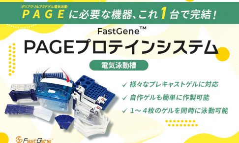 FastGene PAGEプロテインシステム