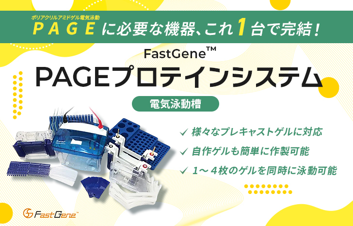 FastGene PAGEプロテインシステム
