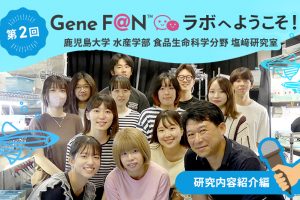 GeneF@Nラボ_第2回_塩崎ラボ_研究内容編