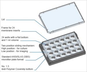 マイクロプレート 24ウェル メンブレンインサート用フレーム付