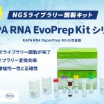 KAPA RNA EvoPrep kit