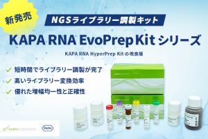KAPA RNA EvoPrep kit