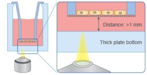 マイクロプレート 24ウェル メンブレンインサート用フレーム付