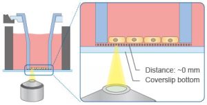 マイクロプレート 24ウェル メンブレンインサート用フレーム付