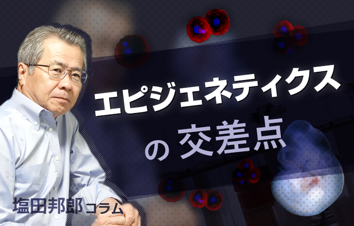 塩田先生コラム　第九回